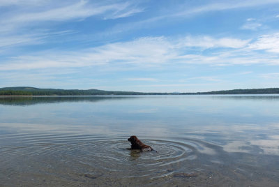 Kelley -  Sears Island  7-25-16-pf.jpg