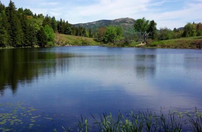 Little Long Pond 6-2-16-pf.jpg