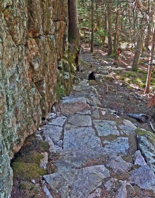 Steps- New Trail Harbor Brook b  8-7-16-pf.jpg
