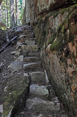 Steps- New Trail Harbor Brook  8-7-16-pf.jpg