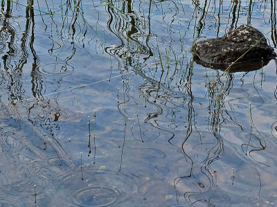 Reflection Branch Lake 8-12-16-pf.jpg