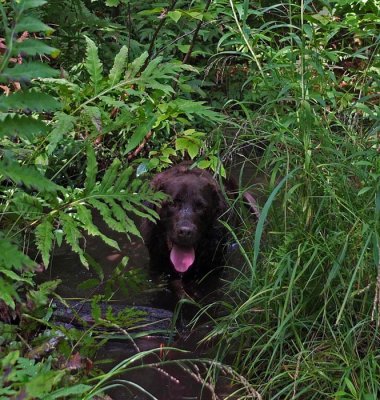 Kelley - Branch Lake Trail 8-12-16-pf.jpg