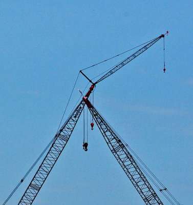 Cranes  Bangor 4-15-12-ed-pf.jpg