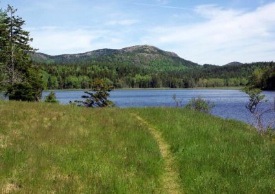 Little Long Pond b 6-2-16-pf.jpg