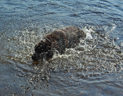 Kelley - Stillwater River  8-19-11-pf.jpg