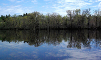 Stillwater River b 5-19-16-pf.jpg