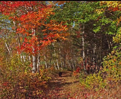 Trail Newman Hill-Hinds 10-14-16-pf.jpg