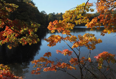 Little River Trail 10-19-16-pf.jpg