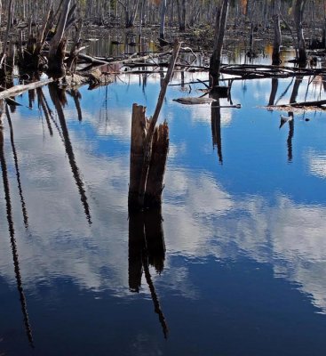 Beaver Pond  Newman Hill-Hinds10-14-16-pf.jpg