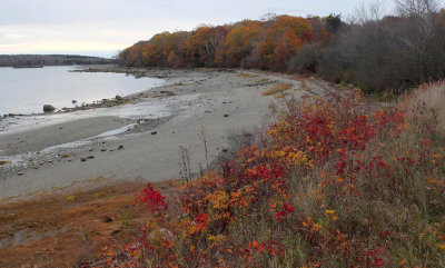Sears Island E. Shore 11-4-16 ed-pf.jpg