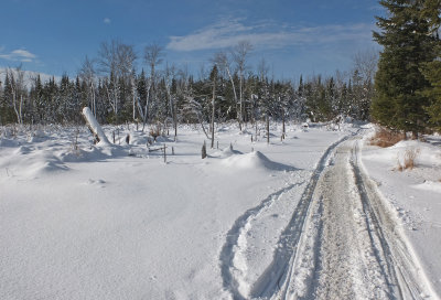 Glenburn Trails g 1-2-17.jpg