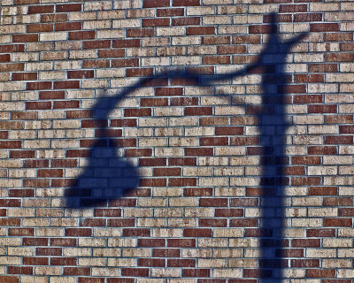 Light Shadow Downtown 11-28-16-ed-pf.jpg