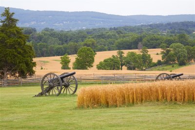 Cannons of Antietam