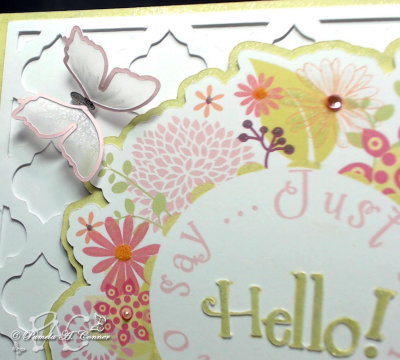 Hello Card for Marda - Close-up of Lg. Butterfly.jpg