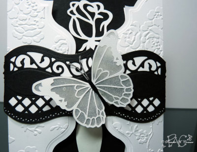 Thank You Card for Vicky 2014 - Close-up of Belly Band  Butterfly.jpg