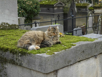 Parisian cemeteries