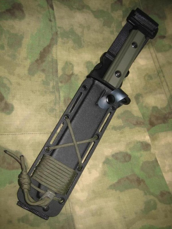 ZT1.jpg