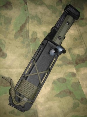 ZT1.jpg
