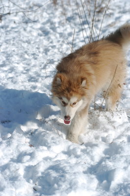 DSC_1504.JPG