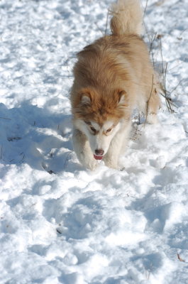 DSC_1506.JPG