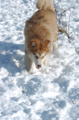 DSC_1507.JPG