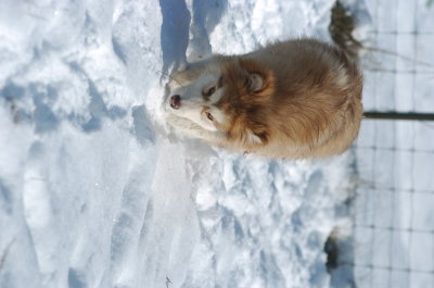 DSC_1528.JPG