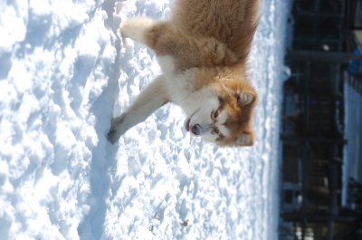 DSC_1543.JPG