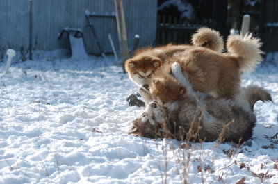 DSC_1575.JPG
