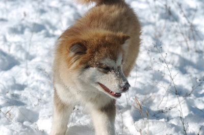 DSC_1594.JPG