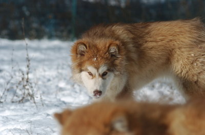 DSC_1614.JPG