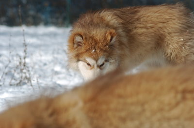 DSC_1616.JPG