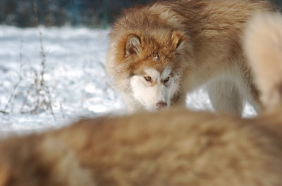DSC_1617.JPG