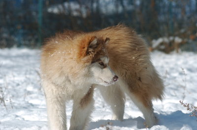 DSC_1619.JPG