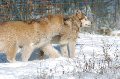 DSC_1630.JPG