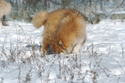 DSC_1633.JPG