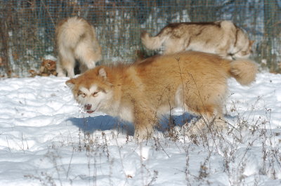 DSC_1636.JPG