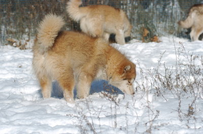 DSC_1637.JPG