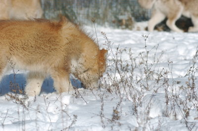 DSC_1638.JPG