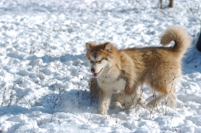 DSC_1668.JPG