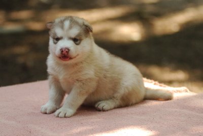 DSC_5298.JPG