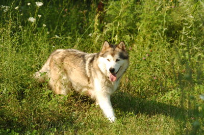 DSC_5411.JPG