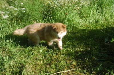 DSC_5924.JPG