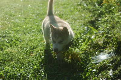 DSC_5925.JPG