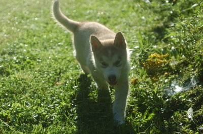 DSC_5926.JPG