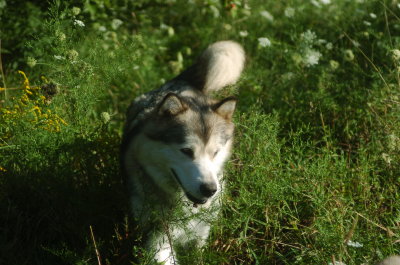 DSC_5928.JPG