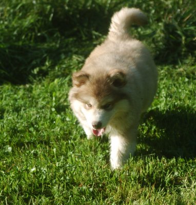 DSC_5935.JPG