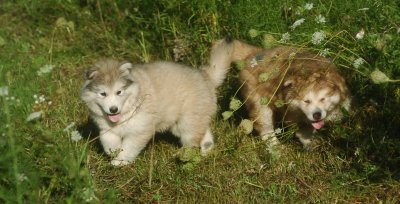 DSC_5939.JPG