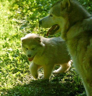 DSC_5979.JPG