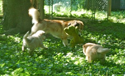 DSC_5995.JPG