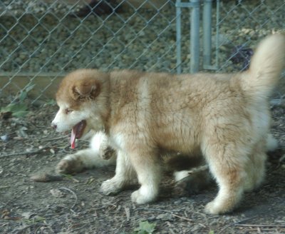 DSC_6002.JPG